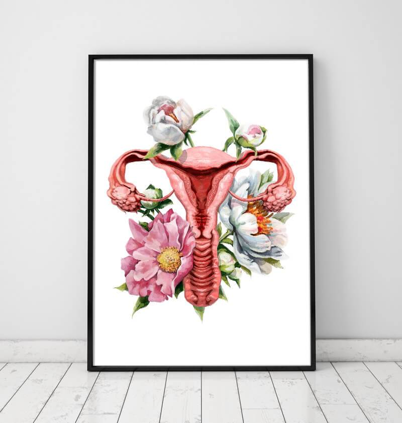 Floral Uterus Anatomy Art Print Codex Anatomicus