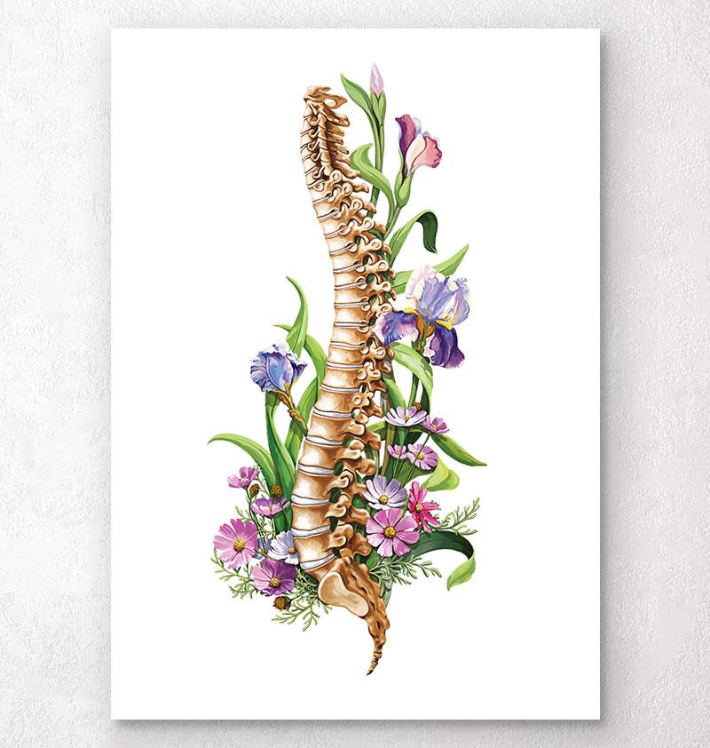 Floral spine anatomy art print Doctors Gift Codex Anatomicus