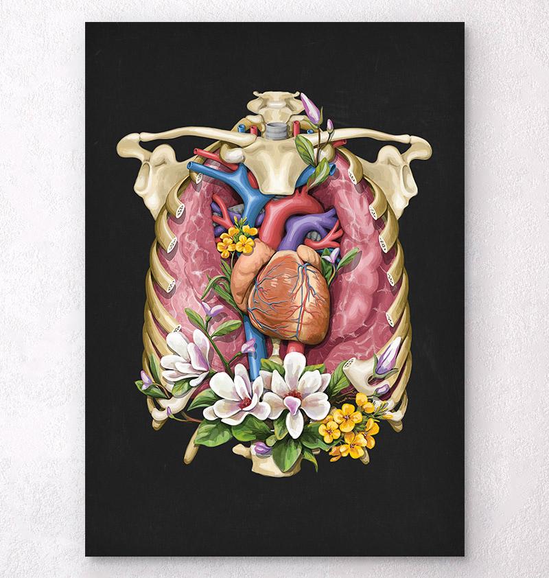 Heart Lungs And A Ribcage Anatomy Art By Codex Anatomicus 5952