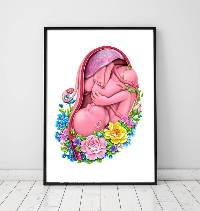 Fetus in a womb anatomy art print - Codex Anatomicus