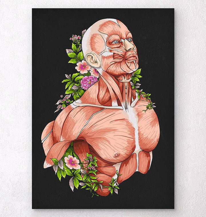 Black – Tagged "full-body-anatomy-illustrations" – Codex Anatomicus