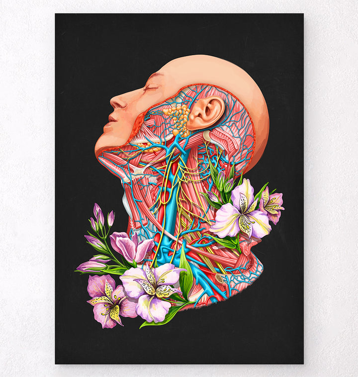 Anatomy Art Prints Human Anatomy Codex Anatomicus Tagged Floral Anatomy Art Prints 7718