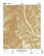 Brooklyn Georgia Current topographic map, 1:24000 scale, 7.5 X 7.5 Minute, Year 2014 from Georgia Map Store