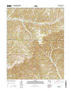 Dogwood Missouri Current topographic map, 1:24000 scale, 7.5 X 7.5 Minute, Year 2015 from Missouri Map Store