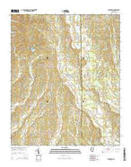 Evergreen Mississippi Current topographic map, 1:24000 scale, 7.5 X 7.5 Minute, Year 2015 from Mississippi Map Store