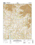 Bethpage Tennessee Current topographic map, 1:24000 scale, 7.5 X 7.5 Minute, Year 2016 from Tennessee Map Store
