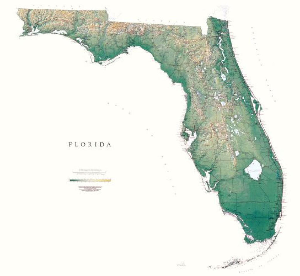 Buy Map Florida Physical Wall Map By Raven Maps Yellowmaps Map Store