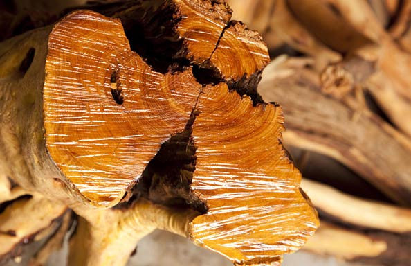 History, Benefits and Usage of Sandalwood