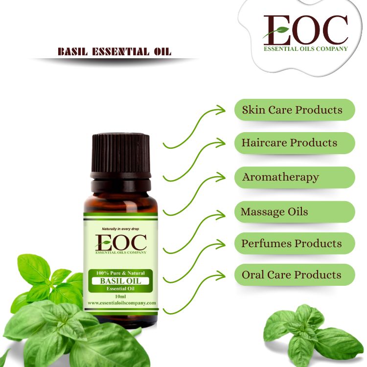 Basil Oil Uses and benefits