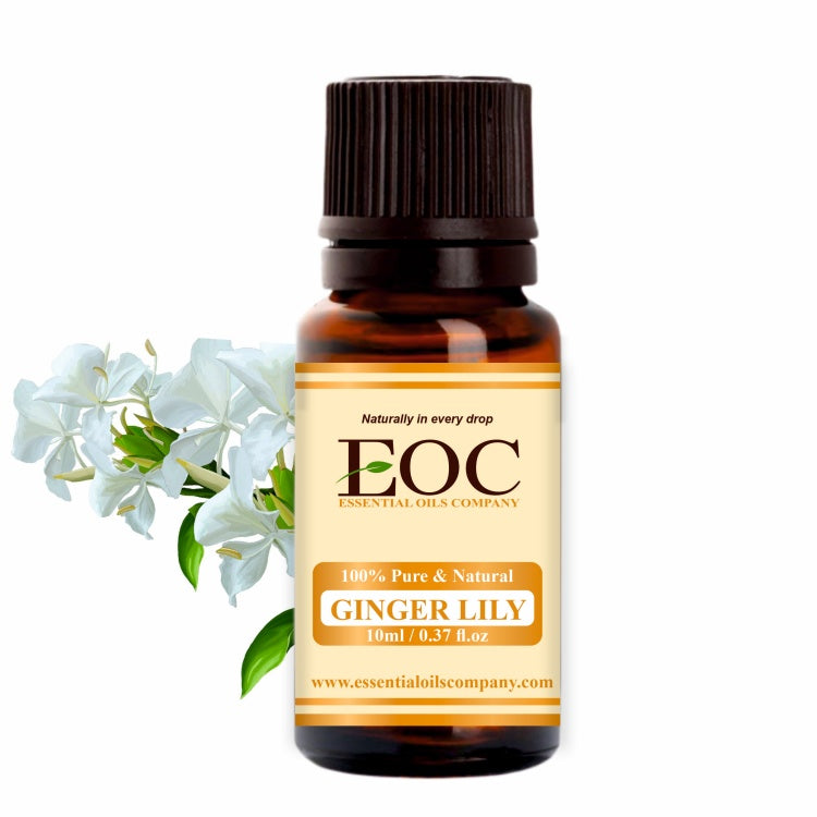 Old Tree Pure Ginger Lily Essential Oil (15ml) - for Skin Care, Home  Fragrance, Diffuser, Room Spray - Undiluted and Natural Oil with Dropper  for