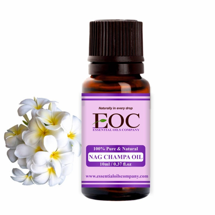 Nag Champa Essential Oil 10ML