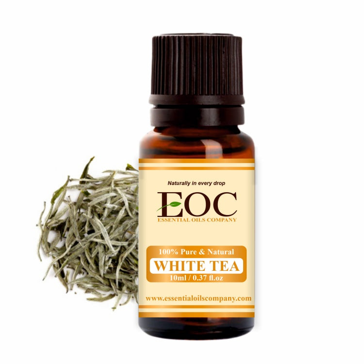 The Benefits Of White Tea Essential Oil & 5 Savory Scents