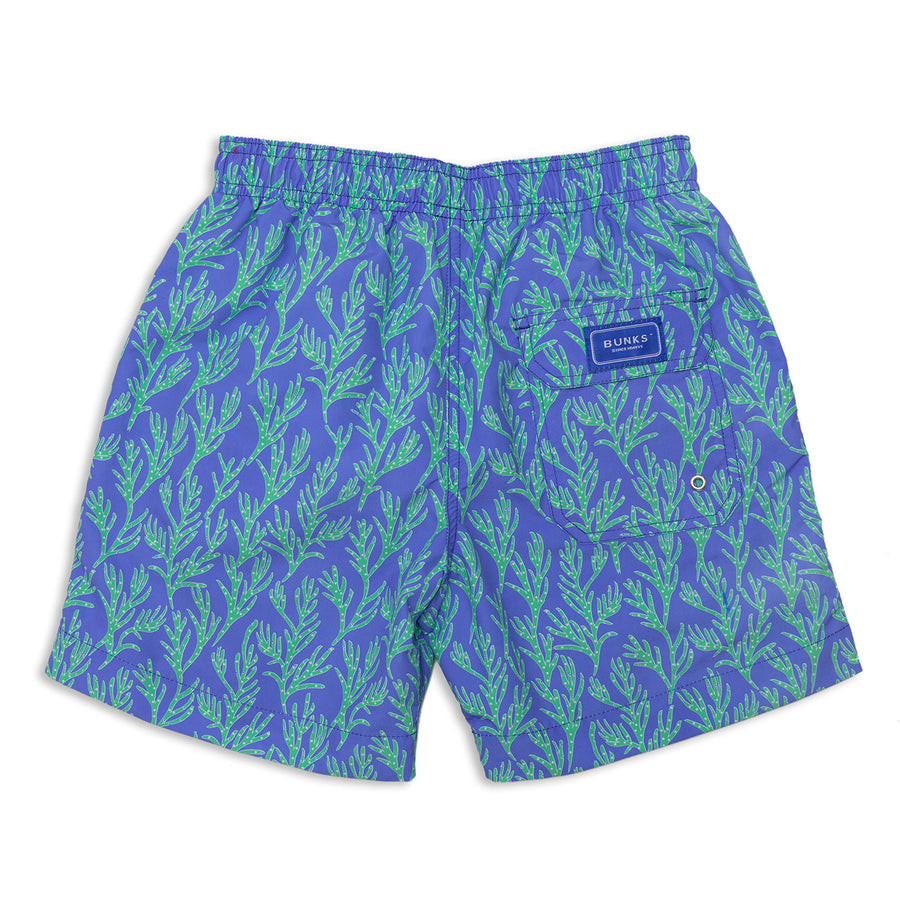 Mens Blue Swim Shorts With 'Seaweed' Printed Design – BUNKS | Swimming ...