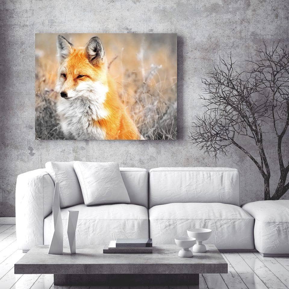 Animal Wall Art: Fox (Wood Frame Ready To Hang) - Sense Of Art
