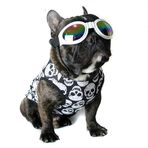 Camisa Frenchie Skull para verano