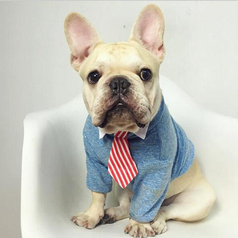 Frenchie Ties 