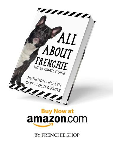 Best French Bulldog Toys - The Best Frenchie Gear