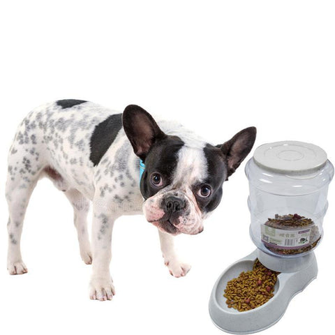 Automatic Frenchies Feeder