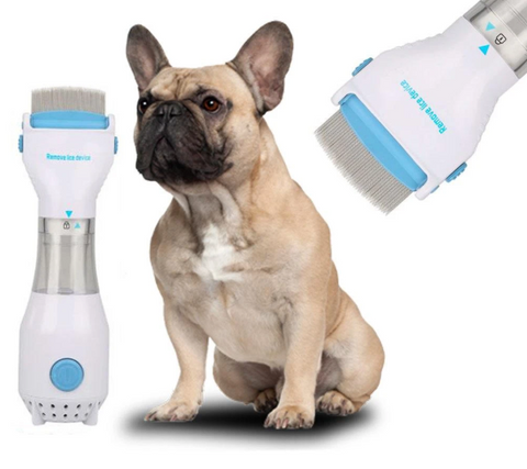 Electric Flea Comb for Frenchies