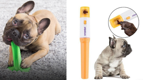 French Bulldog Toothbrush Toy and French Bulldog Automatic Nail Trimmer