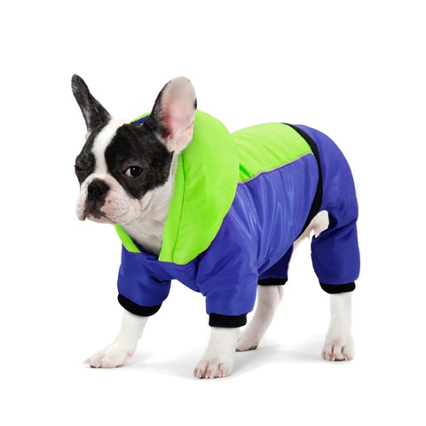 Luna - Jacket for French Bulldog
