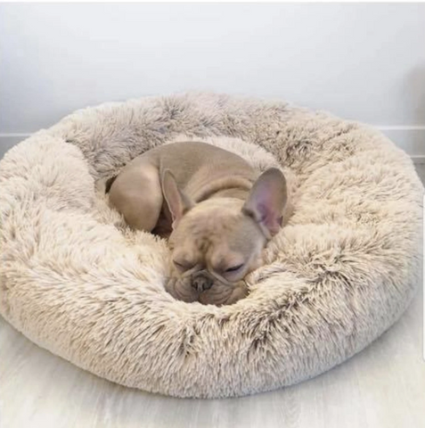 Luxury Frenchie Bed