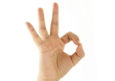 The Okay Sign language for French Bulldogs