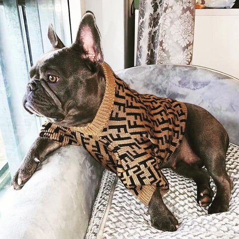 PENDI Sweater for French bulldog