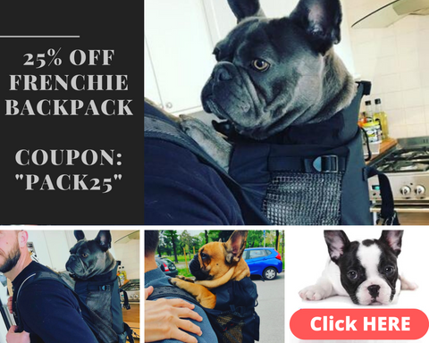 25% OFF Frenchie Backpack with the Coupon Code: PACK25
