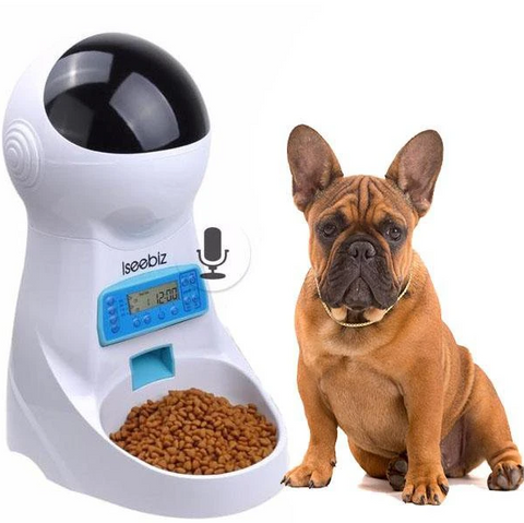 Mangeoire Smart Frenchie