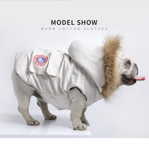 Ropa de invierno de moda para Bulldog Francés