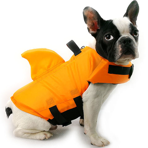 French Bulldog shark vest