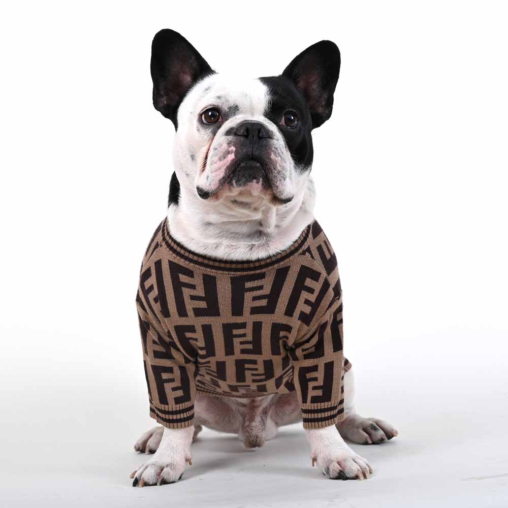 Pendi V2 - Luxury Warm Sweater for French Bulldog (WJ02) – frenchie Shop