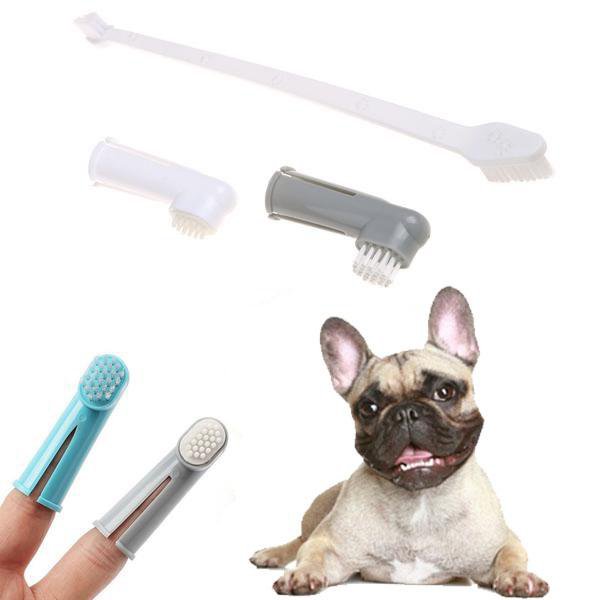 Best dog brush deals for french bulldogs