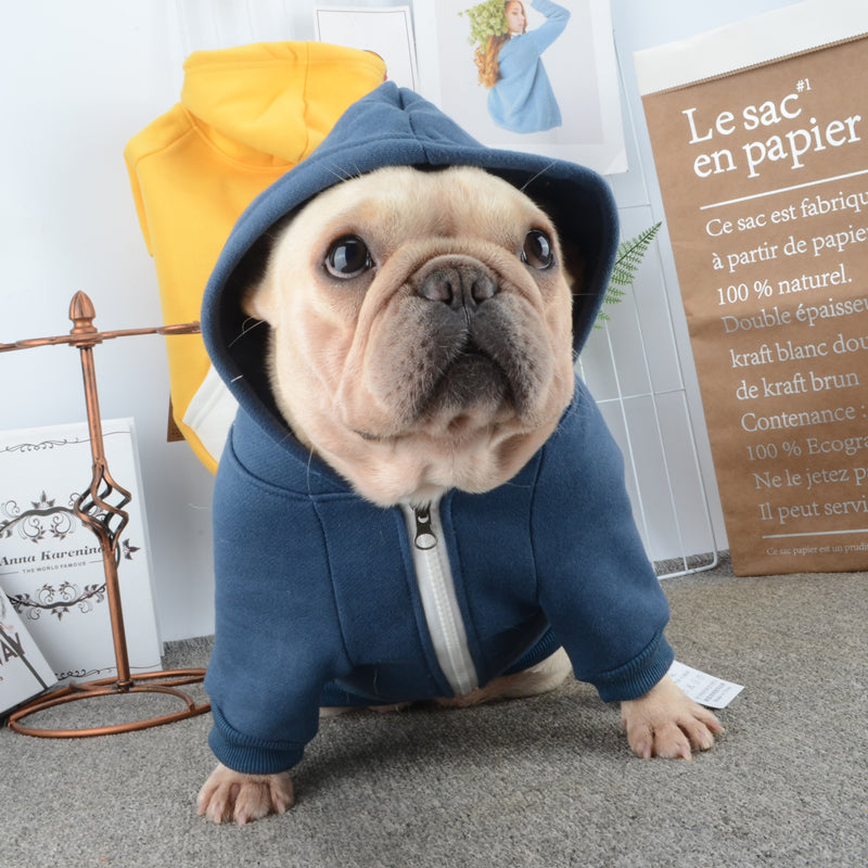 Warm Hoodie for Frenchies (CS6) – frenchie Shop