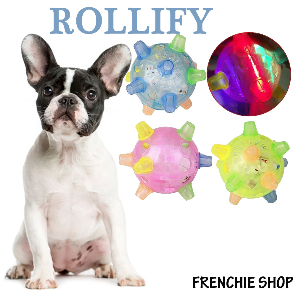 Best French Bulldog Toys - The Best Frenchie Gear  Bulldog puppies, Toy  bulldog, French bulldog puppies