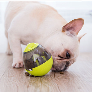 Huevo de comida interactivo IQ Treat ball (WS68) - Frenchie Bulldog Shop