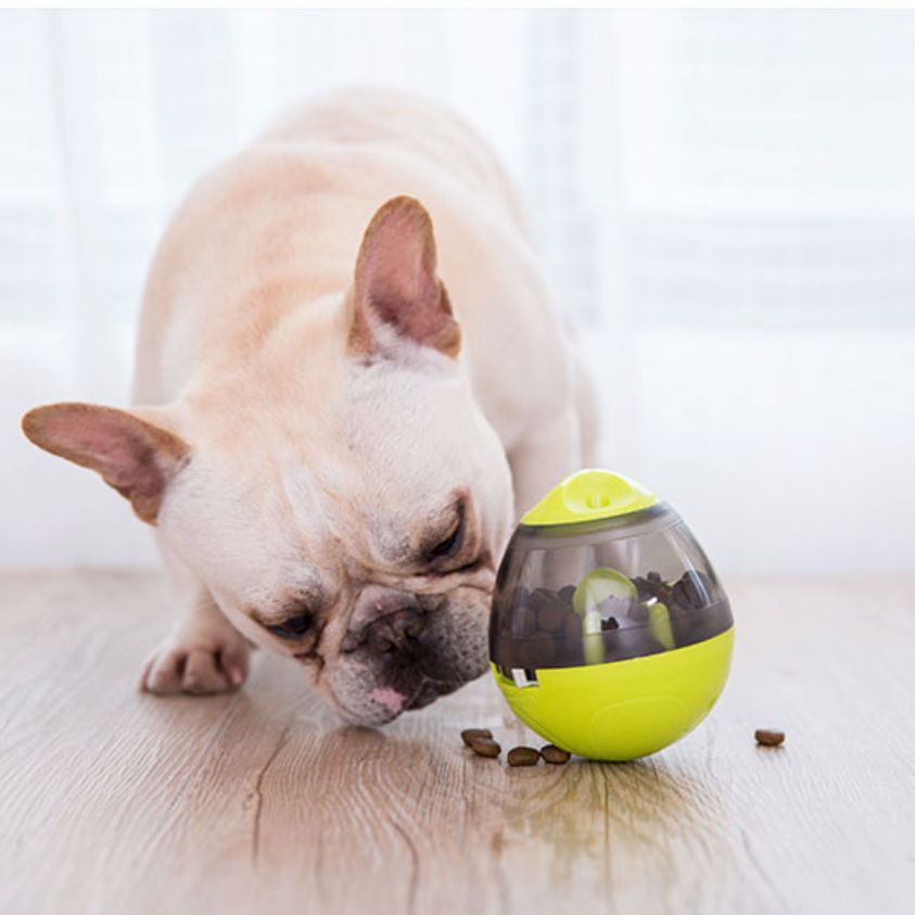 Best toy for a frenchie? : r/Frenchbulldogs