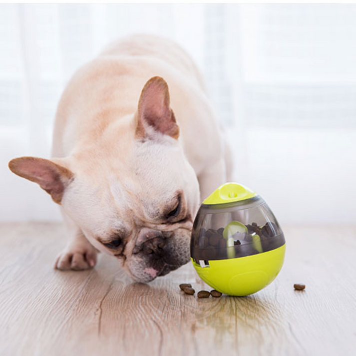 Keep Your Frenchie Entertained: The Top 5 Best Toys for French Bulldogs! 