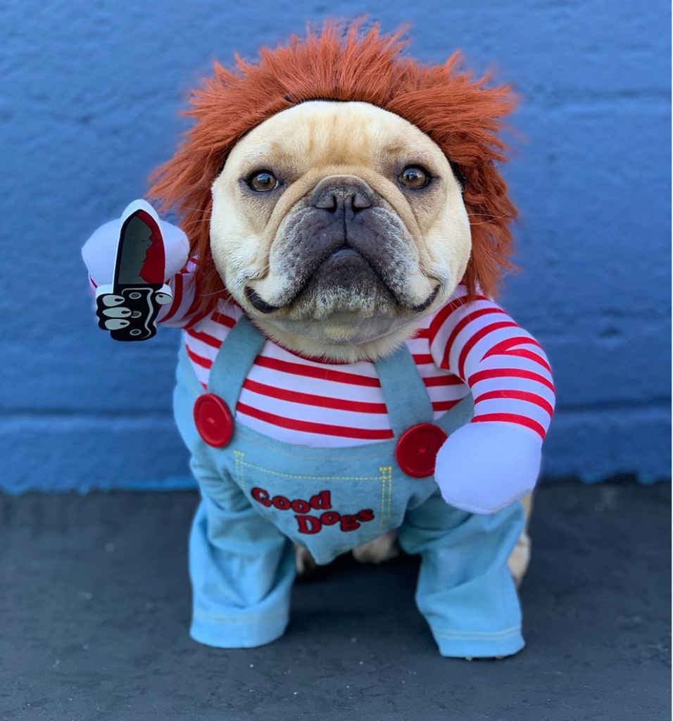 Chucky Costume For Halloween (WS44) | frenchie Shop