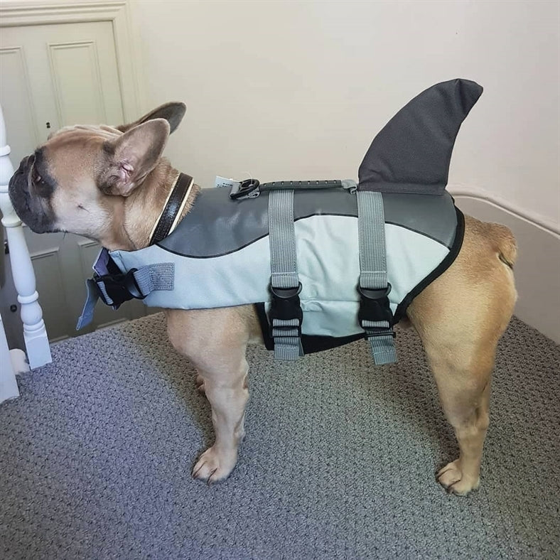 french bulldog shark life jacket