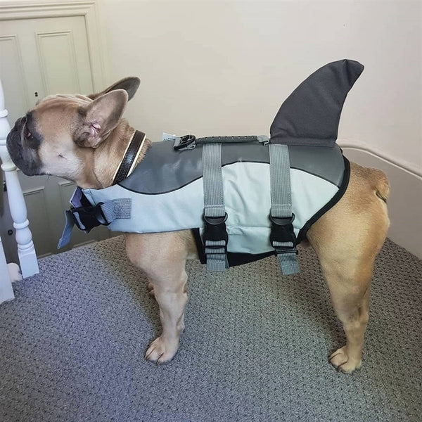 frenchie life vest