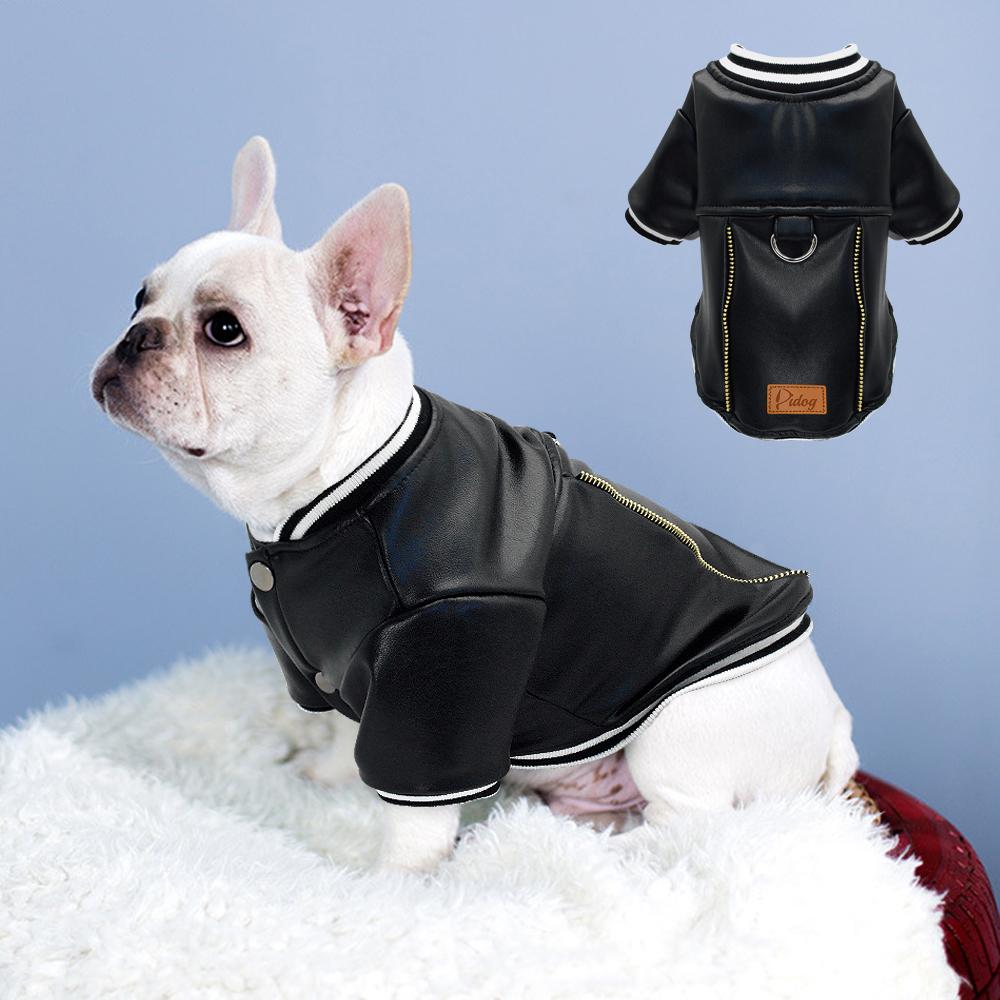 frenchie leather jacket