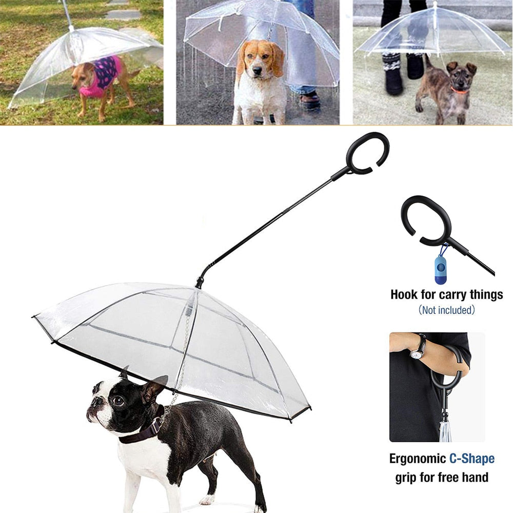 Rain Gear Walking Umbrella for French Bulldog – frenchie Shop