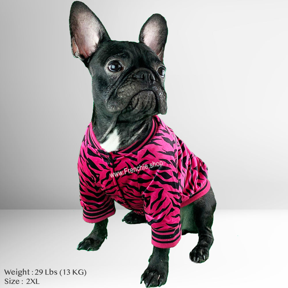 french bulldog puppy sweaters