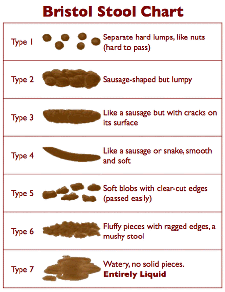 bristol_stool_chart