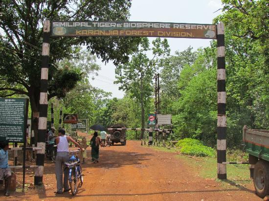 simlipal national park, simlipal tiger reserve, simlipal waterfall