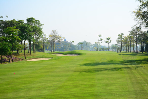 the driving range putting green that most golfers play with their playing partner