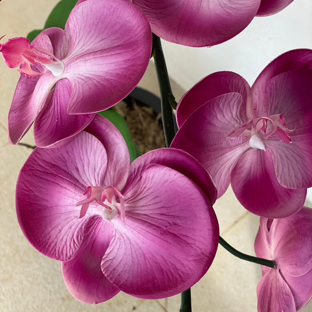 Purple Orchid Single stem arrangement Silk Flowers