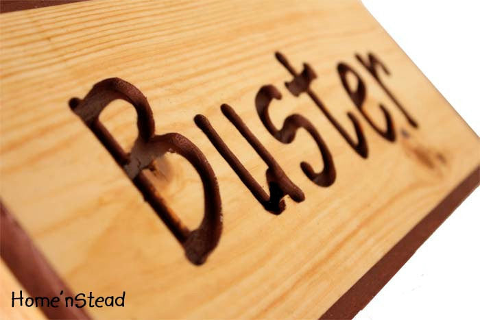 Customizable Engraved Wood Name Plaques Pet Animal Sign ...